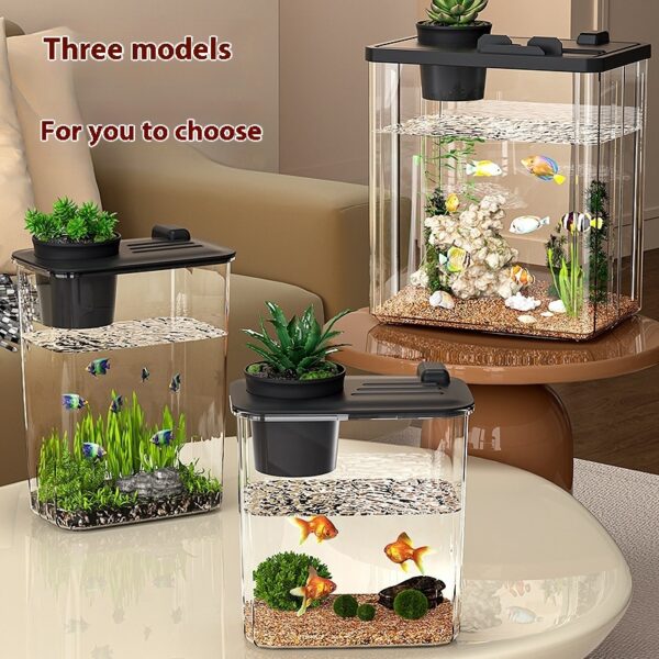 Small Desktop Aquarium - Image 4