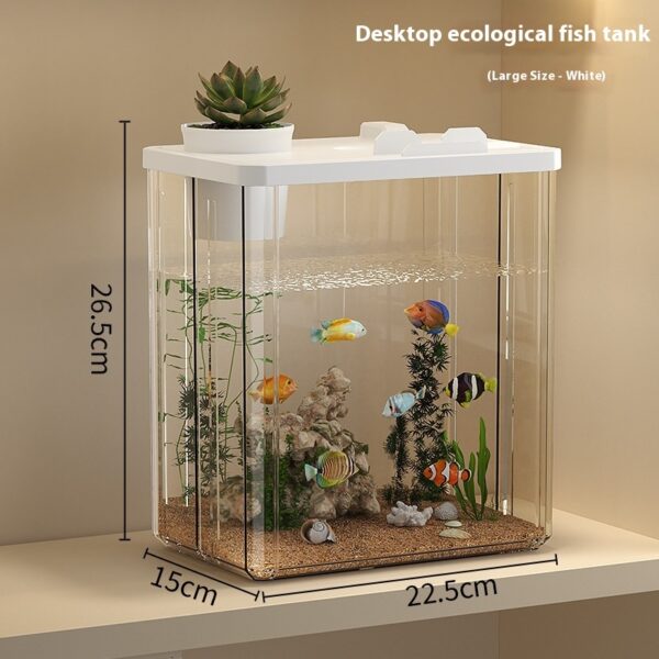 Small Desktop Aquarium - Image 3