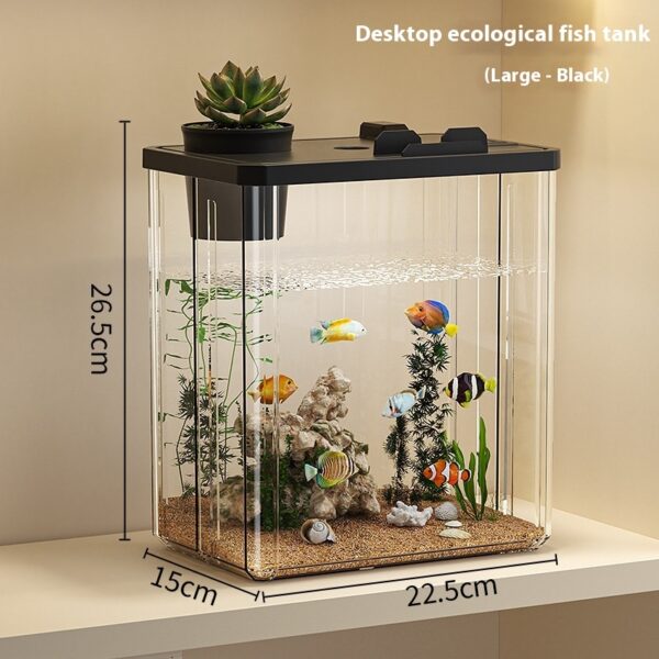 Small Desktop Aquarium